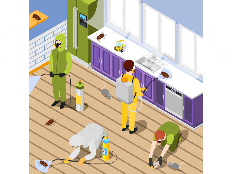 Pest Control Services