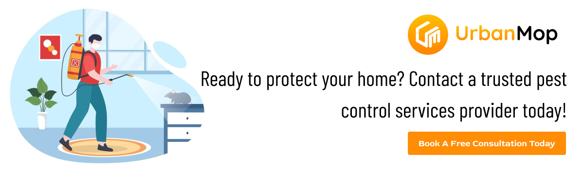 Pest Control Service by UrbanMop