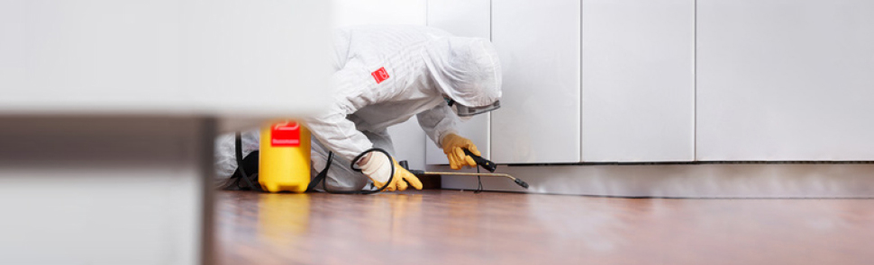 Pest Control Treatment