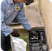Rodent/Rats Control Treatment