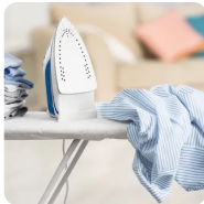 Bag - Wash & Iron