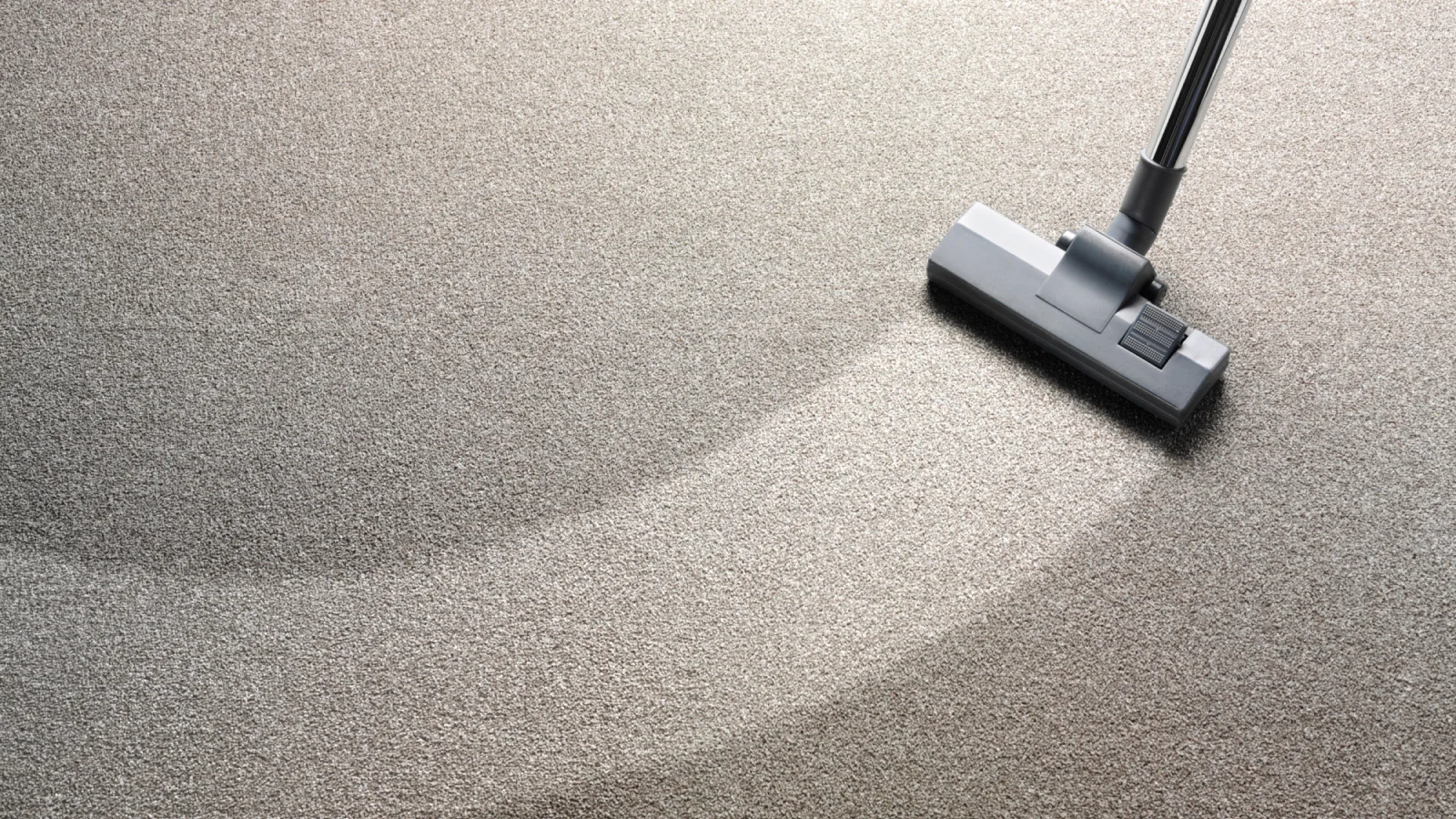 carpet cleaning