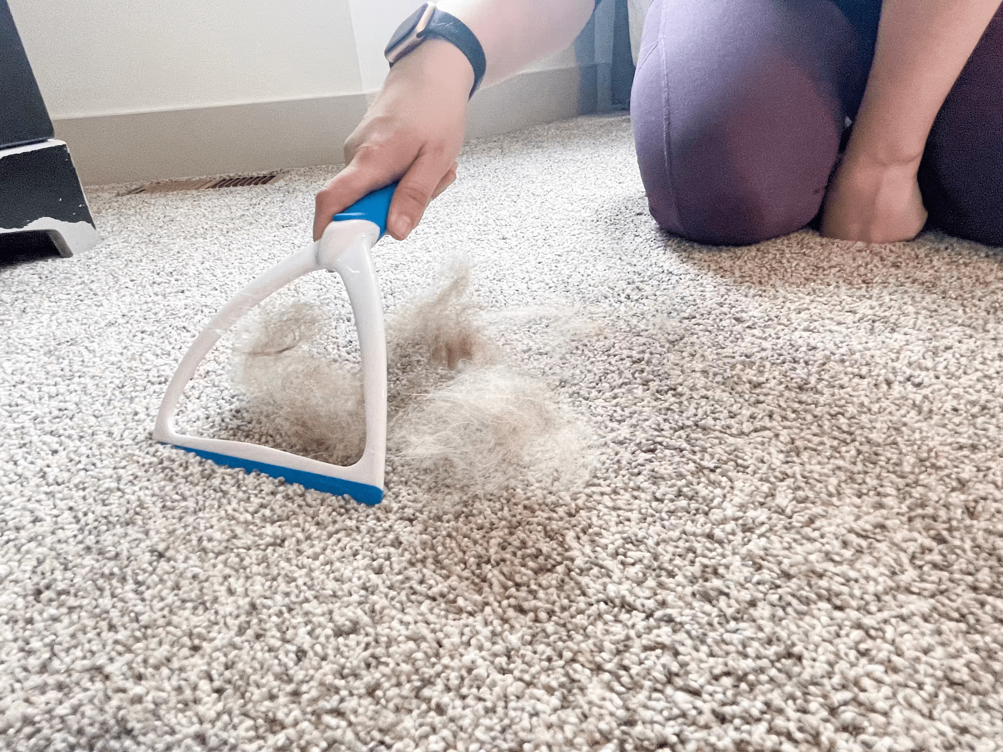 A lint roller serves as a useful instrument for quick clean-ups before unexpected guest visits when minimal time is available