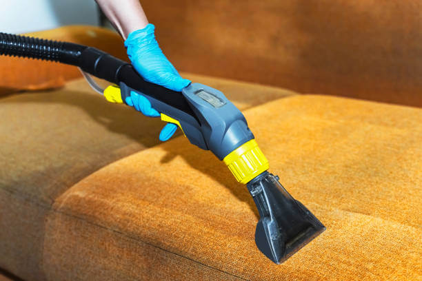 How to Keep Your Sofa Looking New Between Cleanings sofa cleaning before & after