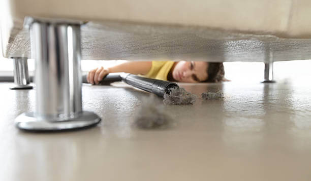Pet hair removal from Sofa in uae