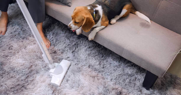 Why Sofa Cleaning in Dubai Is Essential for Allergy-Free Living? urbanmop Dubai sofa alergies cleaning near me