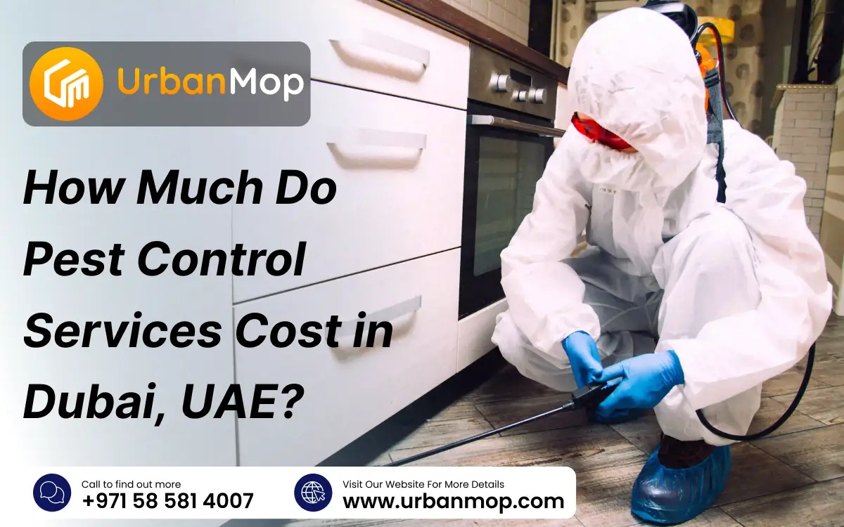 cost-of-pest-control-services-in-dubai-uae
